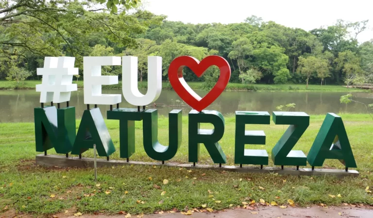 Veja o que lhe espera