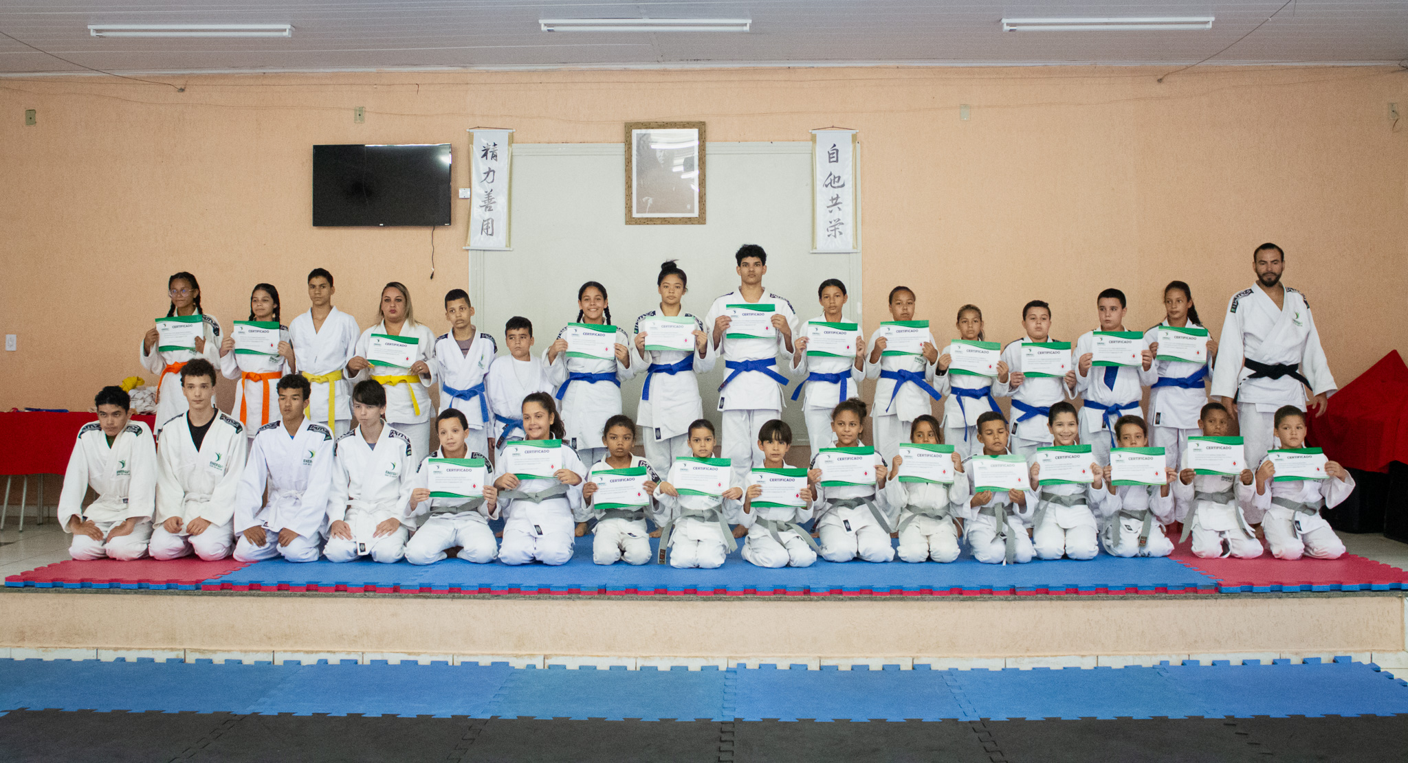 Organização do Judô