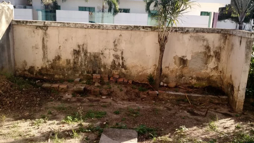 q2-1024x576 Startup - Fazendas Urbanas