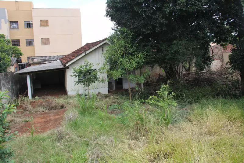 q4 Startup - Fazendas Urbanas