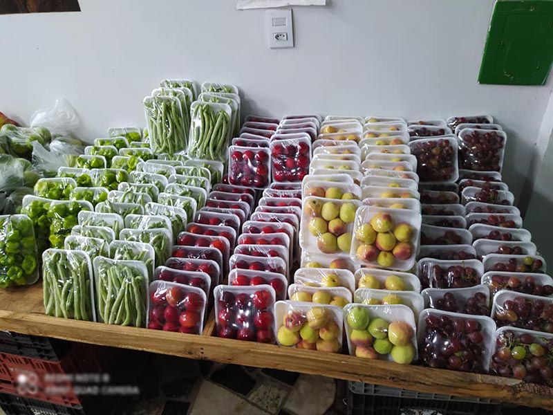 v4 Startup - Fazendas Urbanas